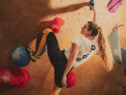 ARKOSE ( escalade ) ARKOSE TOURS