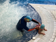 SWIM STARS Paris Porte de Versailles
